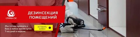 Сэс дератизация