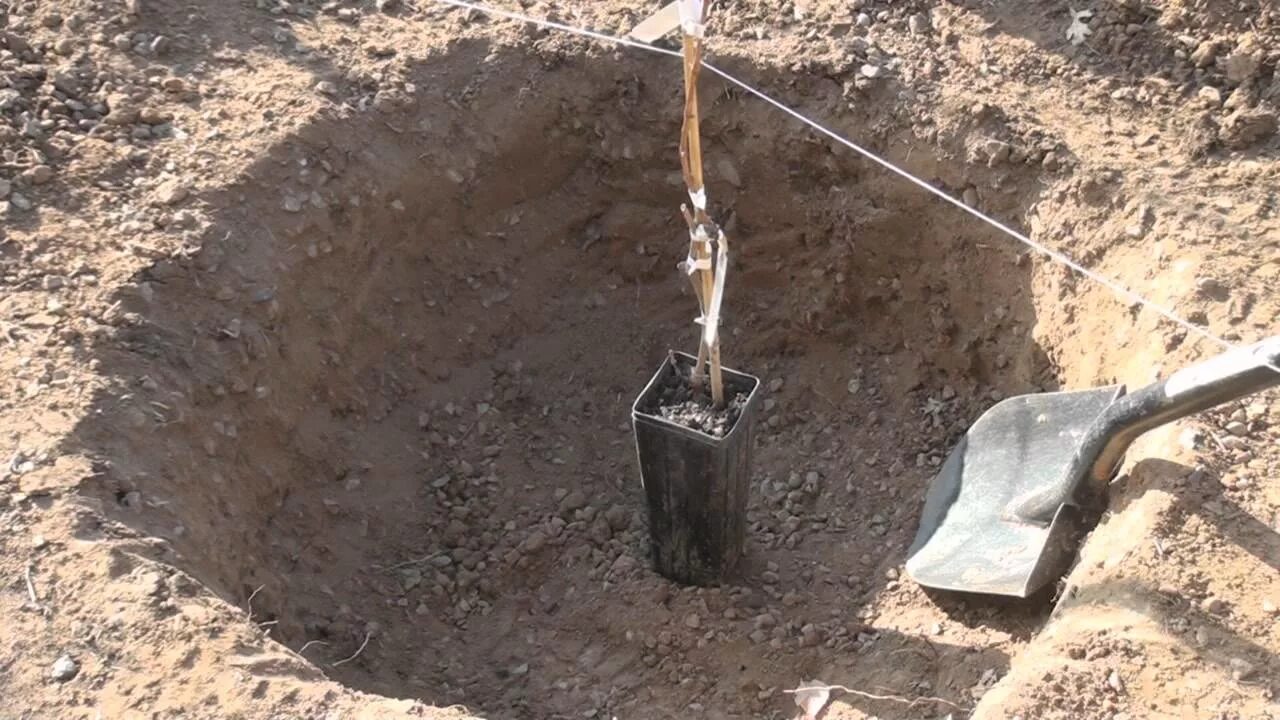 Как выкопать мерзлую землю