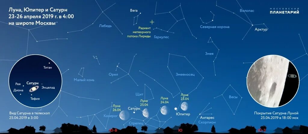 Какое количество страниц вега арктур