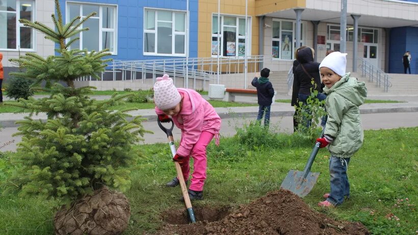 День зеленых насаждений. Посадка деревьев в детском саду. Высадка зеленых насаждений. Посадка деревьев детьми. Высадка деревьев школьниками.