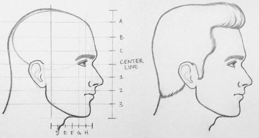 У взрослого человека голова занимает. Портрет сбоку поэтапно. Контур мужского лица сбоку. Голова человека вид сбоку рисунок. Лицо человека в профиль.