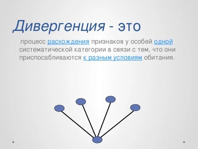 Чем определяется расхождение признаков у родственных групп. Дивергенция. Дивергенция биология. Дивергентный это. Процесс дивергенции в языке.