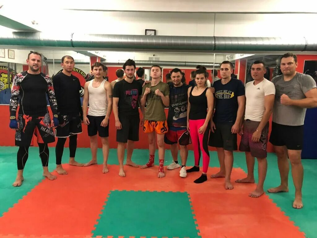 спортивный клуб медведь благовещенск. кикбоксинг ярославль. спортивный клуб медведь. спортивный клуб медведь. спортивный клуб медведь.