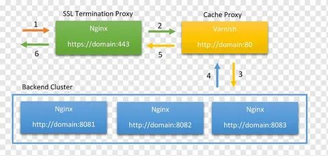 Nginx ssl