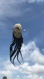 Scary fly