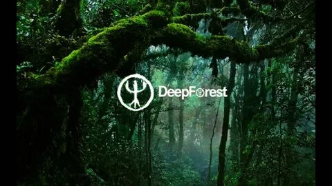 Forest species