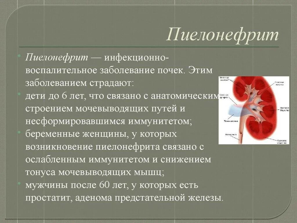 Пиелонефрит (инфекционное поражение почек). Почечная болезнь пиелонефрит у детей. Пиелонефрит поражение почечной лоханки. Пелонифри.