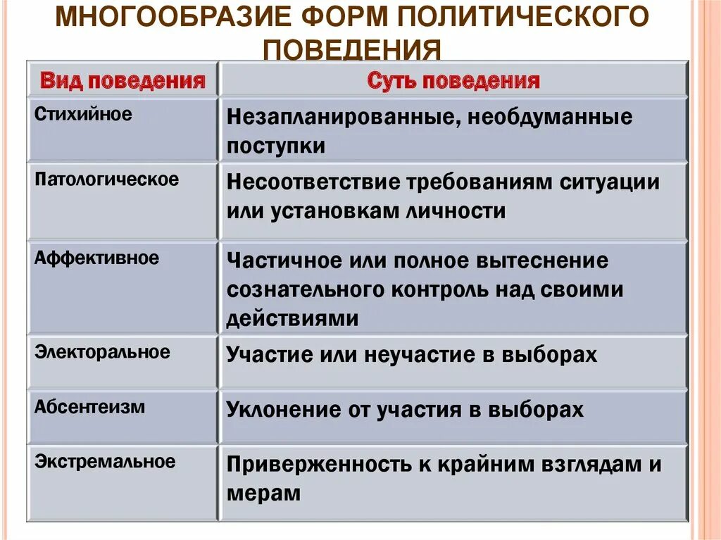 Рассмотрите фотографию какой вид политической деятельности