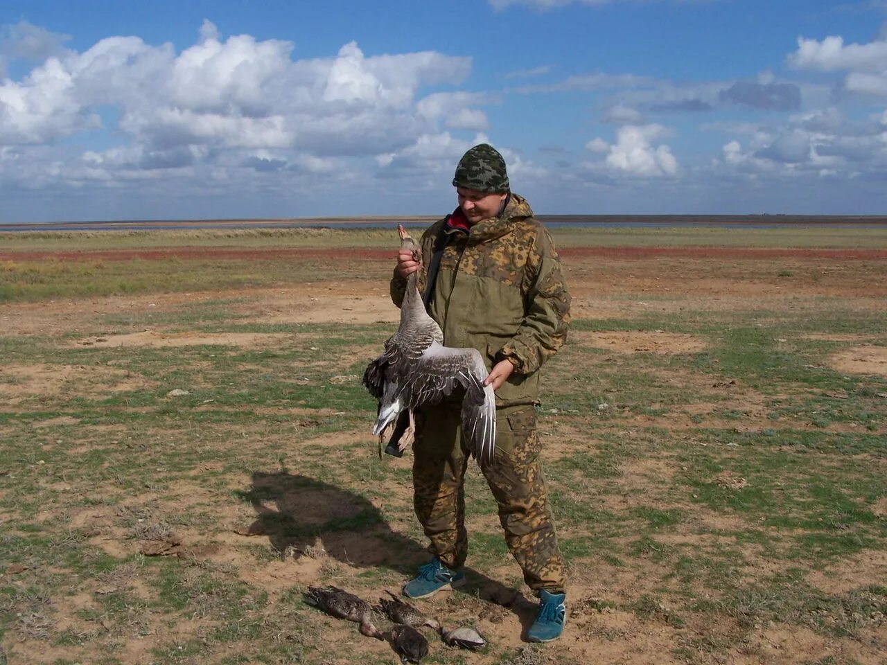 Охота в калмыкии на гуся. Гусь в элисте. Охота на волков в калмыкии. Охота в калмыкии 2022 на волка. Охота на гуся в казахстане акмолинская область.