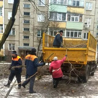Москва уборка дворов