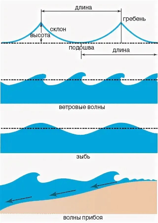Движение волн. Элементы ветровой волны. Схема ветровых волн. Строение волны. Строение морской волны.