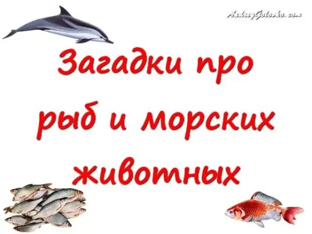 Загадки про морских обитателей. Загадки про морских обитателей для дошкольников. Загадки про морских обитателей. Загадки про подводный мир. Загадки про морских жителей.