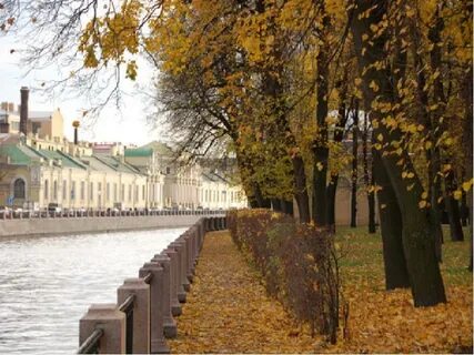Листва петербург