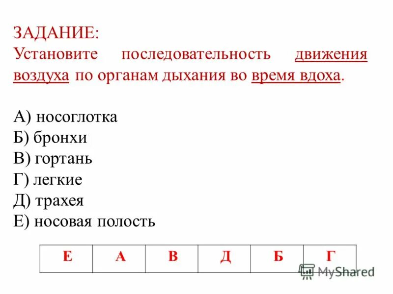 Последовательность поступления воздуха в организм