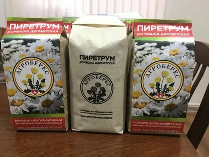 Порошок ромашки