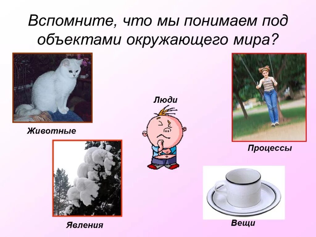 Использование предмета окружающий мир