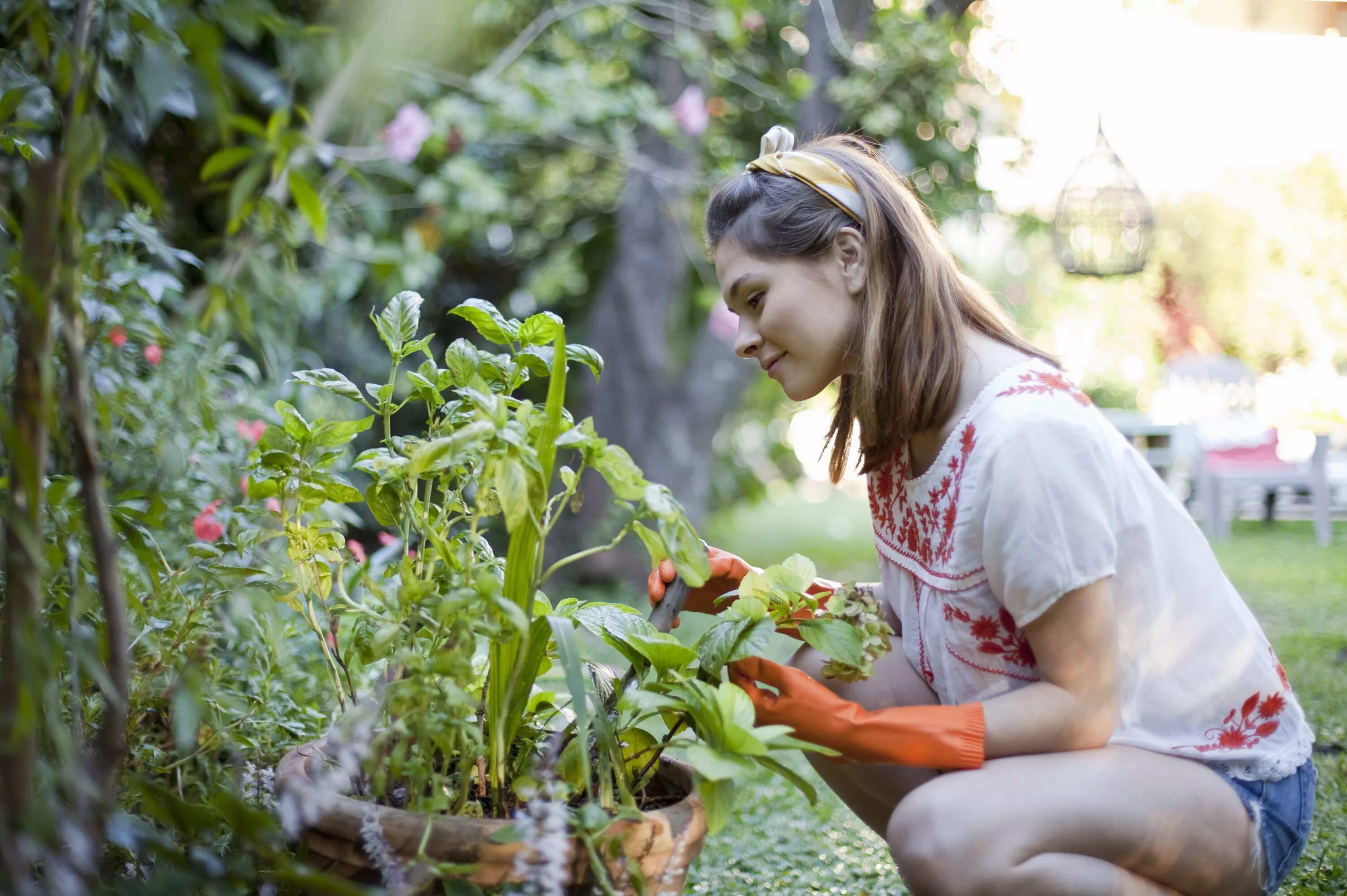Аэродерма растений. Человек который занимается растениями. Травы лекари. Сити фермер. Ботаник ученый.