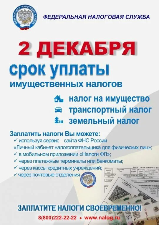 Оплата налогов лично. Уплата налогов плакат. Баннер срок уплаты имущественных налогов. Оплатить налоги. Не забудь заплатить налоги.