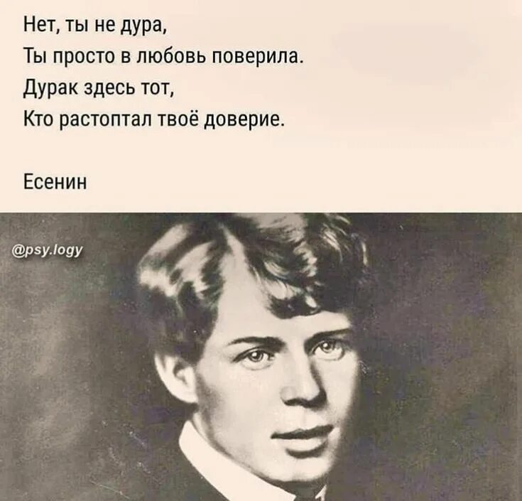 Цитаты Есенина. Цитаты Есенина о любви. Стихи Есенина о любви. Высказывания поэтов.