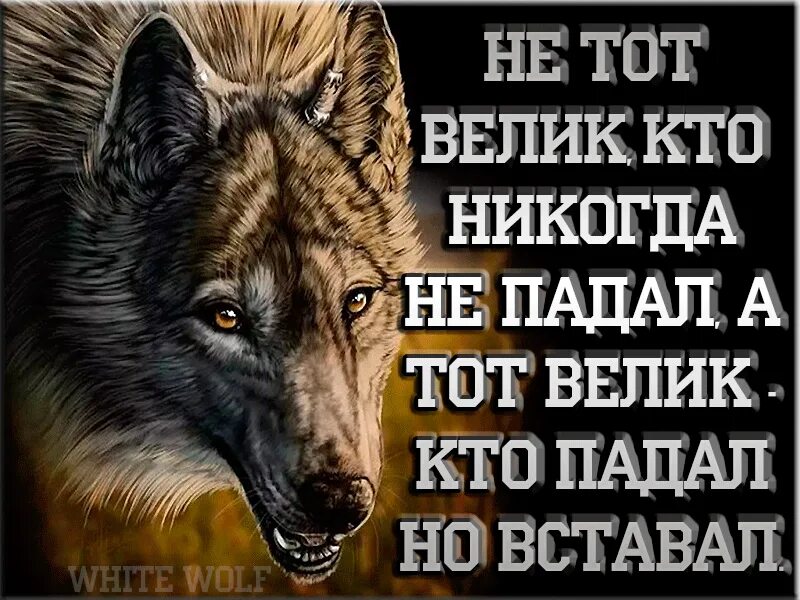 Цитата падающего