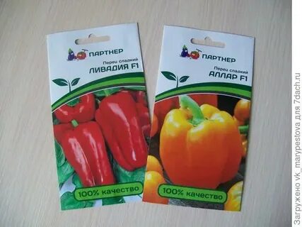 Перец фирмы партнер