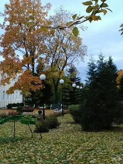 Кольцово петербург