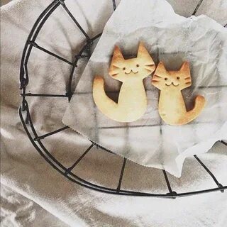 Печенье коте