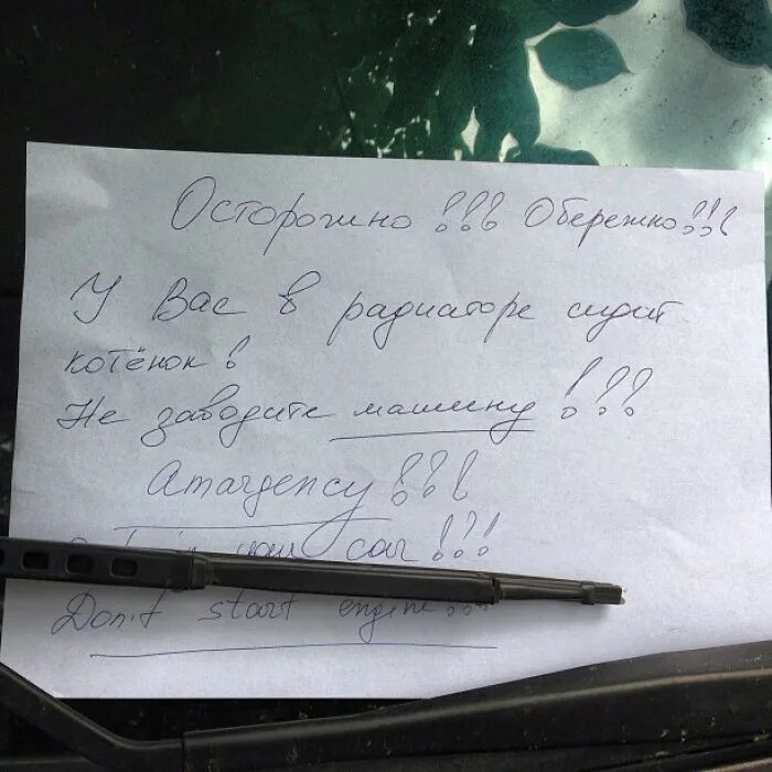 Записка под стеклом автомобиля. Записки оставленные на машинах. Записка на лобовом стекле автомобиля. Записка когда задела машину. Записка на лобовом стекле.