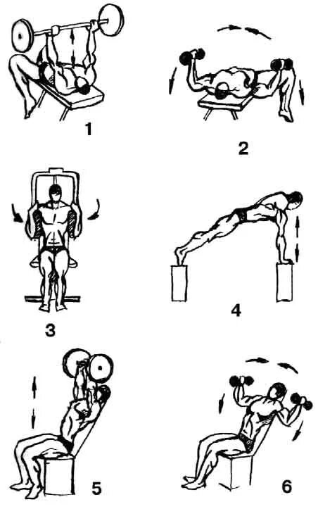 Упражнения на грудные в домашних условиях. Занятия с гантелями на грудные мышцы. Комплекс упражнений для развития мышц грудной клетки. Упражнения для накачивания грудных мышц для мужчин с гантелями. Упражнения на грудь с гантелями.