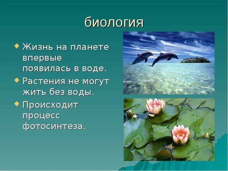 Растения живущие в воде. Растения не могут жить без воды. Растения и вода биология. Без чего не могут жить растения.