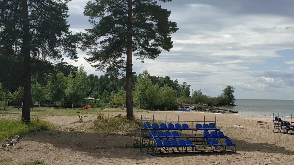 Городской парк бердская коса. Парк бердская коса. Городской парк бердская коса. Пляж коса бердск. Заповедник бердская коса.