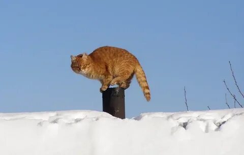 Опять дела