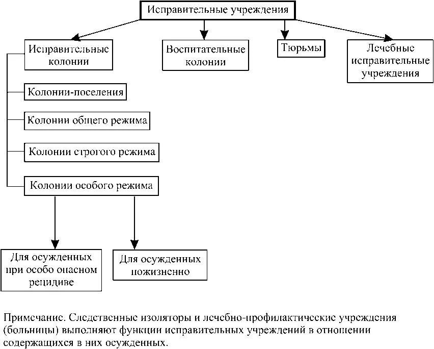 Положения исправительных учреждений. Типы исправительных учреждений. Виды исправительных учреждений для отбывания лишения свободы. Структура исправительных учреждений РФ. Виды режимов исправительных колоний.