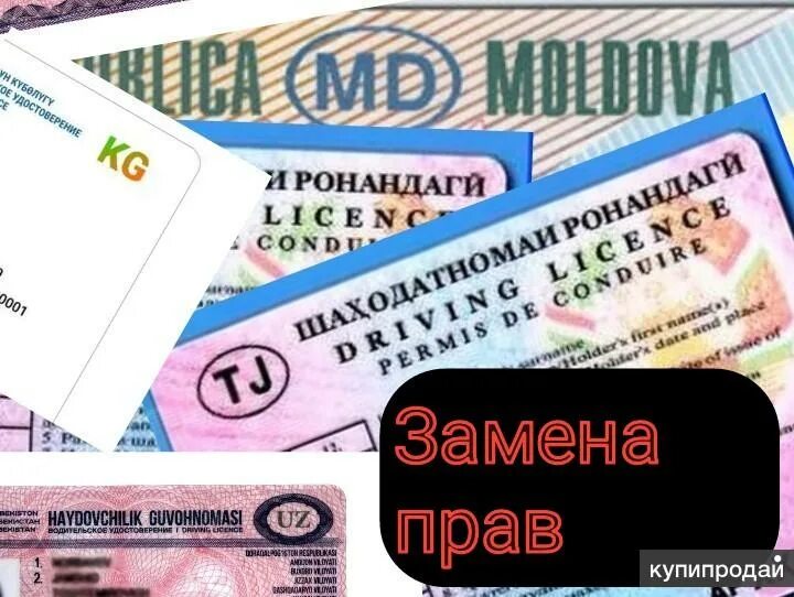 Водитель гражданам снг. Замена водительского удостоверения. Оплата при получении прав. Замена водительских удостоверений в Молдове. Доступно право граждан СНГ.