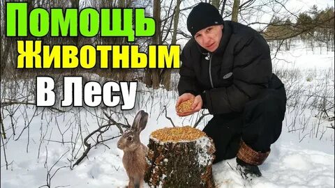Помочь 11