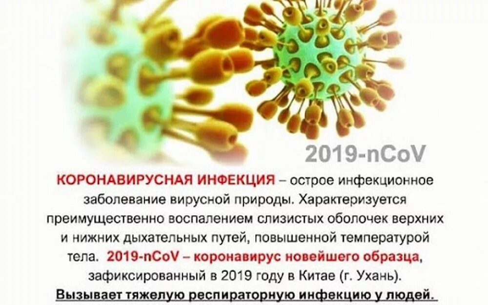 Профилактика коронавирусной инфекции. Коронавирус информация. Памятка коронавирус. Коронавирус краткая информация. В связи новой коронавирусной инфекции