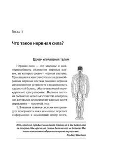 Нервная сила