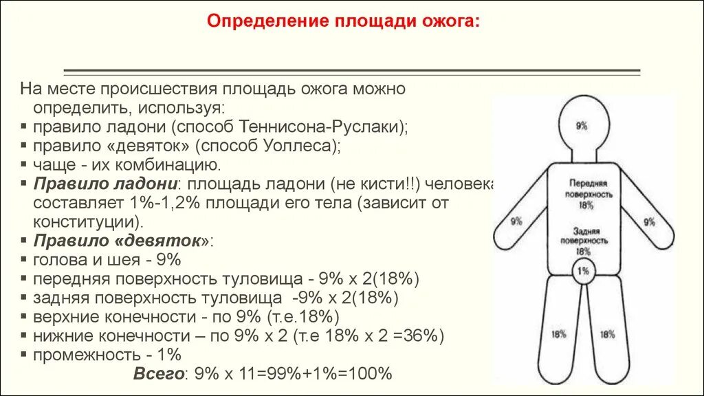 Правило 9 жизней. Оценка степени площади ожогов. Ожоги методы определения площади ожогов первая помощь. Термический ожог оценка площади.