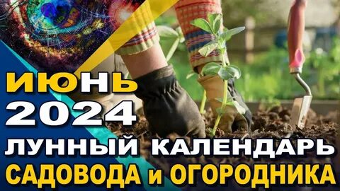 Дачный лунный календарь на июнь 2024 г