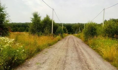Погода беспятово ступинский