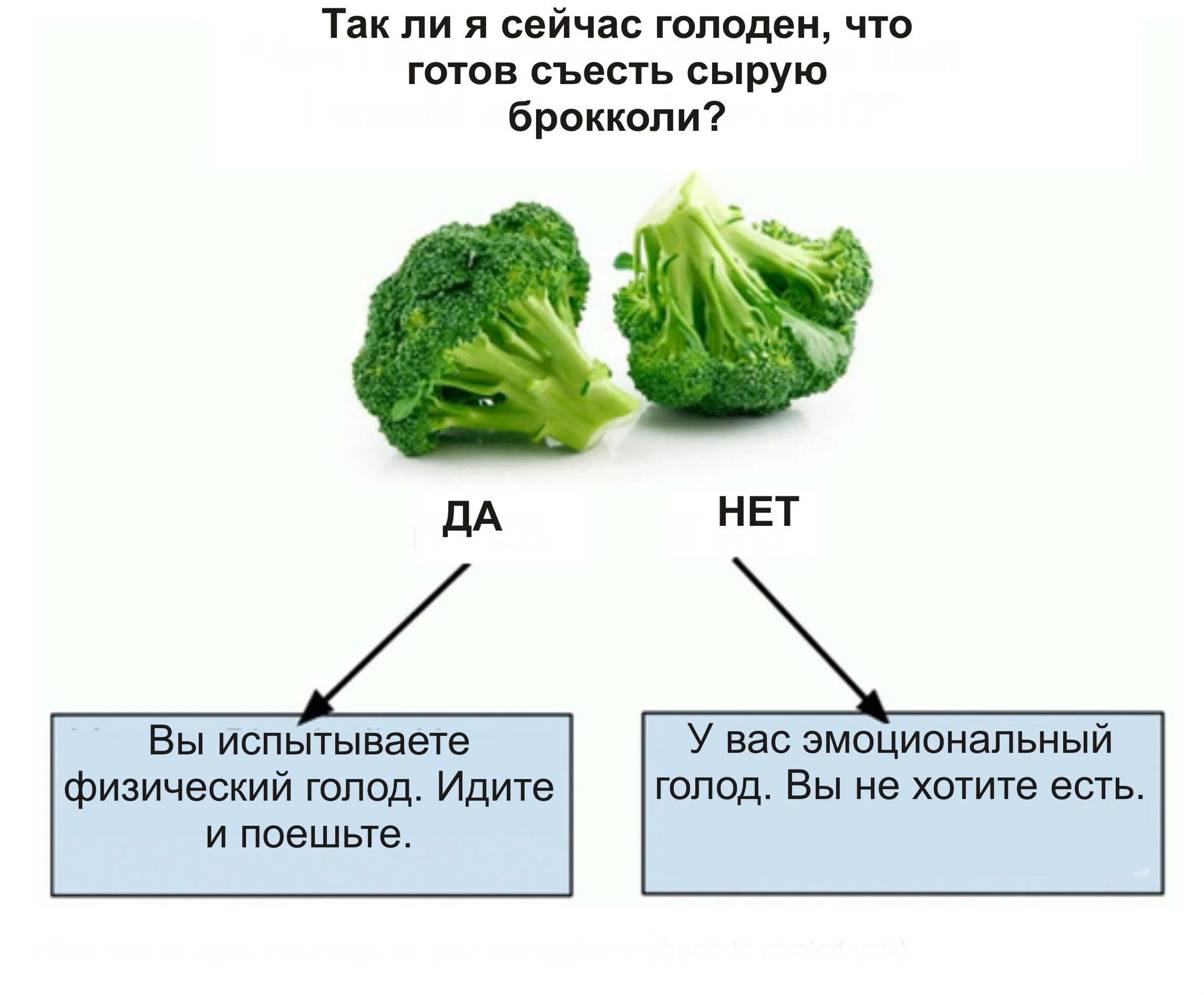 Причины ощущения голода. Физиологический и эмоциональный голод. отличить физический голод от эмоционального. признаки физического голода. как определить физический голод от эмоционального.