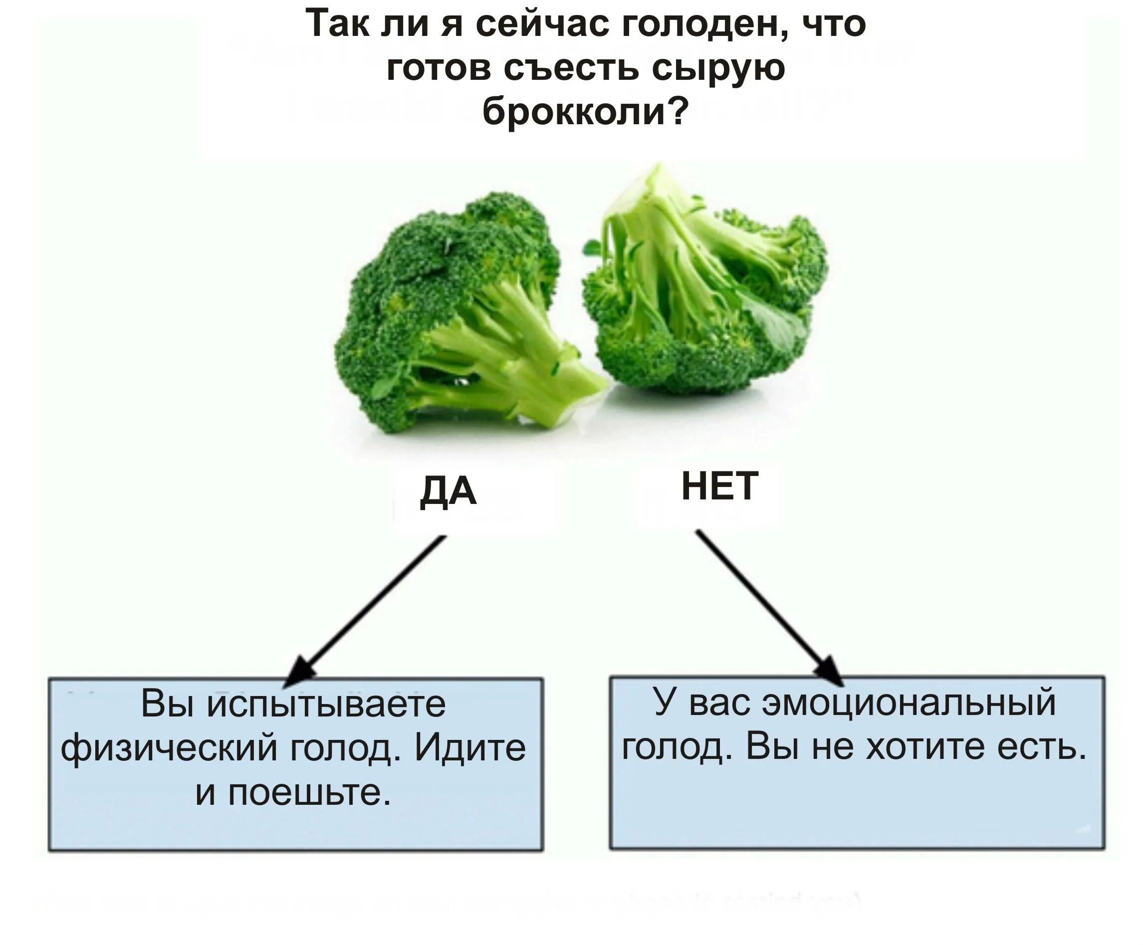 Если хотите стать сильными дети ешьте. Физический и эмоциональный голод. Эмоциональный и физический голод как отличить. Признаки физического голода. Как определить эмоциональный голод от физического.