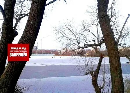 Не смотря на предупреждение