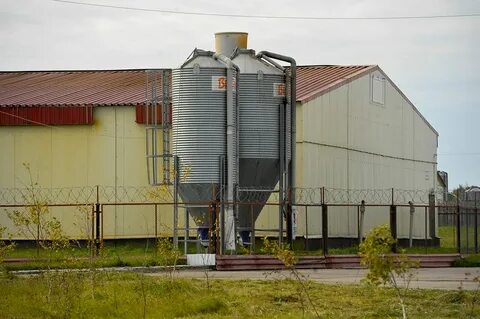Строительство завода комбикормов
