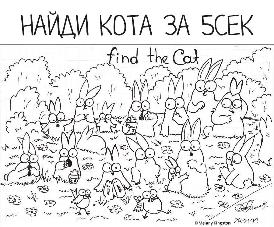 Где найти котика. Найди кота на картинке. Кот на поленнице дров. Где найти котика. Найди кота на картинке.