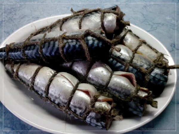 Как обвязать рыбу для копчения шпагатом. Обвязанная скумбрия. обвязать рыбу для горячего копчения. обмотка рыбы для копчения. перевязка рыбы для горячего копчения.