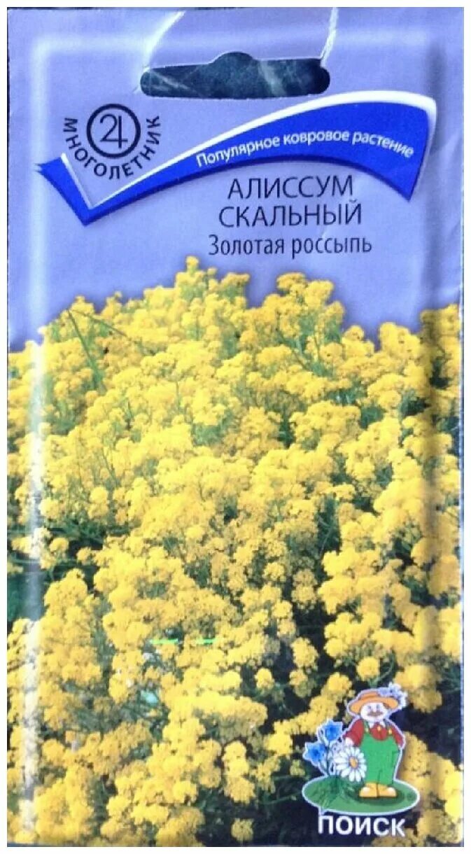 Скальный золотая россыпь. Алиссум скальный Золотая россыпь. Алиссум скальный Золотая волна. Семена алиссум скальный Золотая россыпь. Алиссум Золотая россыпь.