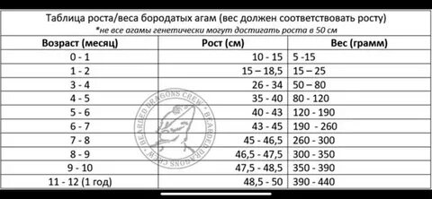 Таблица роста 2021