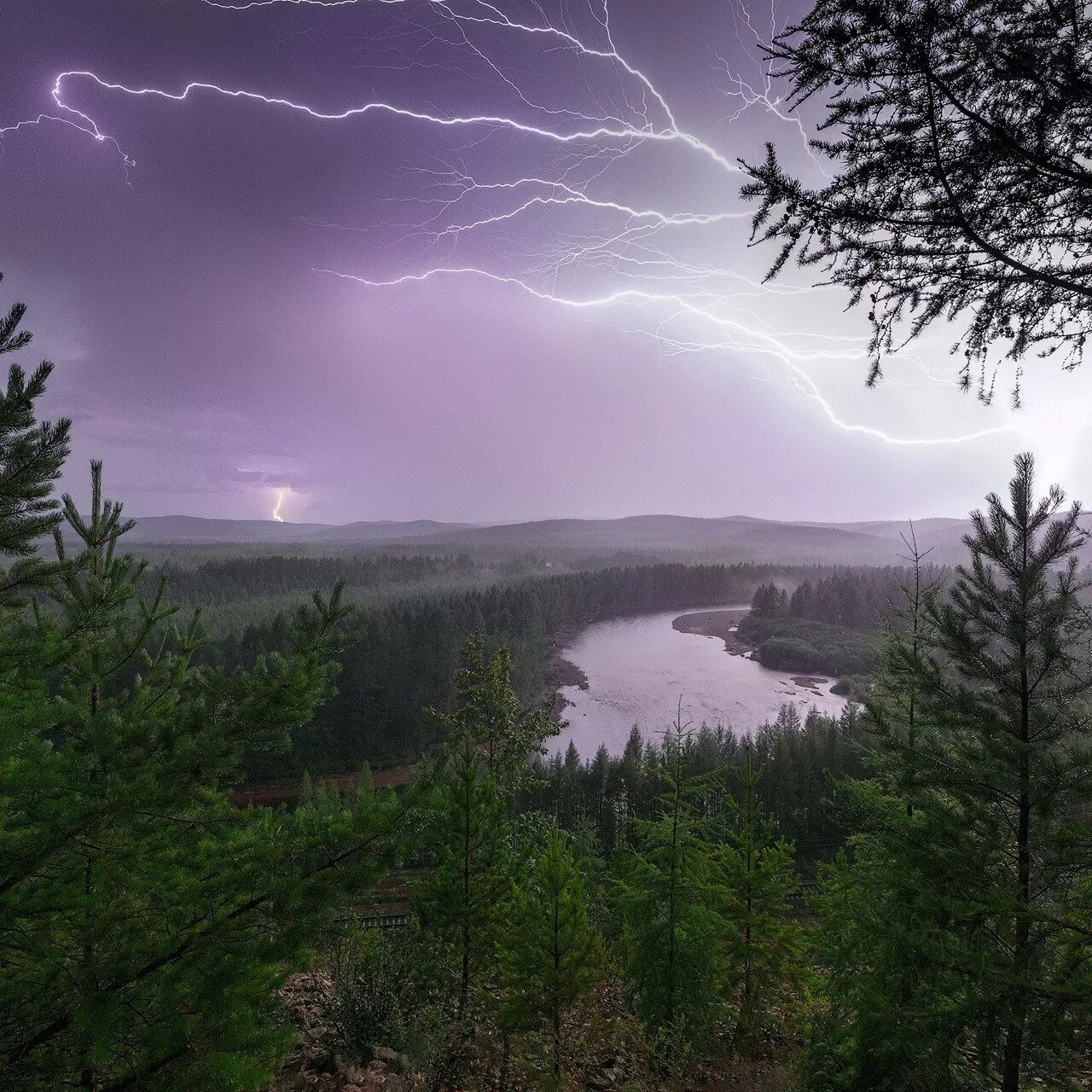 Дождь и ветер летом. Горный алтай тайга эстетика. Ливень. Сибирь тайга. Ливневые дожди.