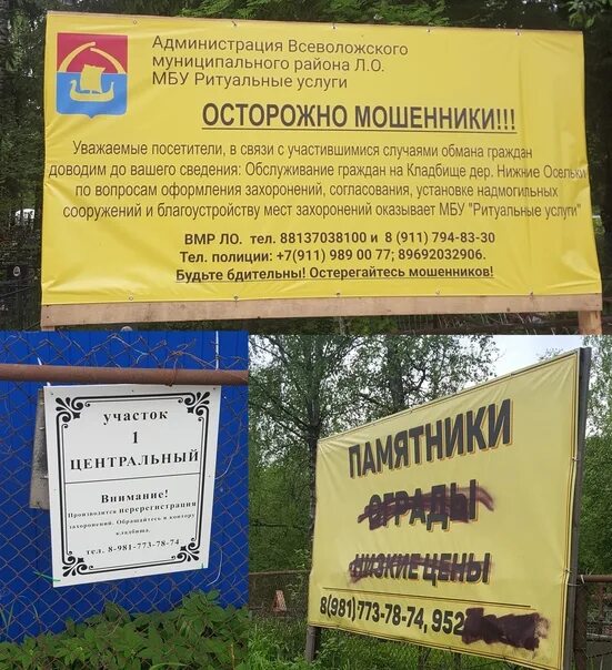 Погода в верхних осельках ленобласти. Кладбище куйвози. нижние осельки кладбище. администрация нижние осельки кладбище. кладбище в нижних осельках.